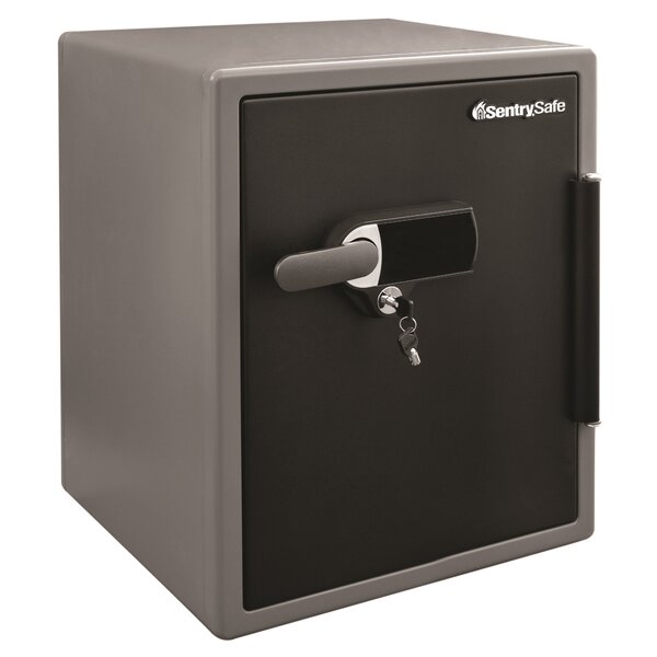 Security Safe with Dual Lock